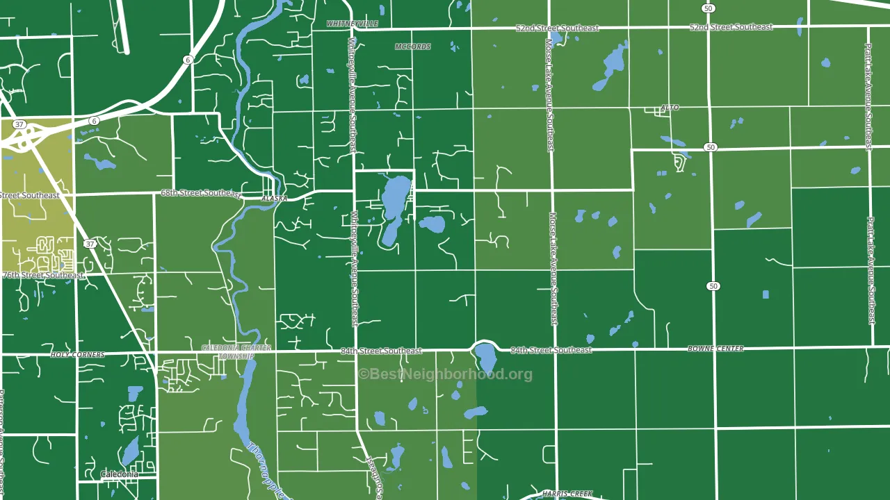 Alto, MI block-group voter-turnout map