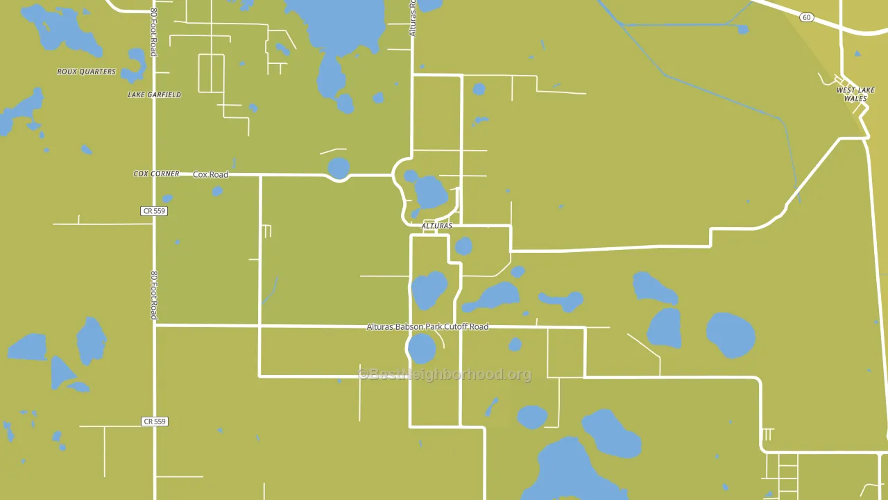 Alturas, FL block-group voter-turnout map