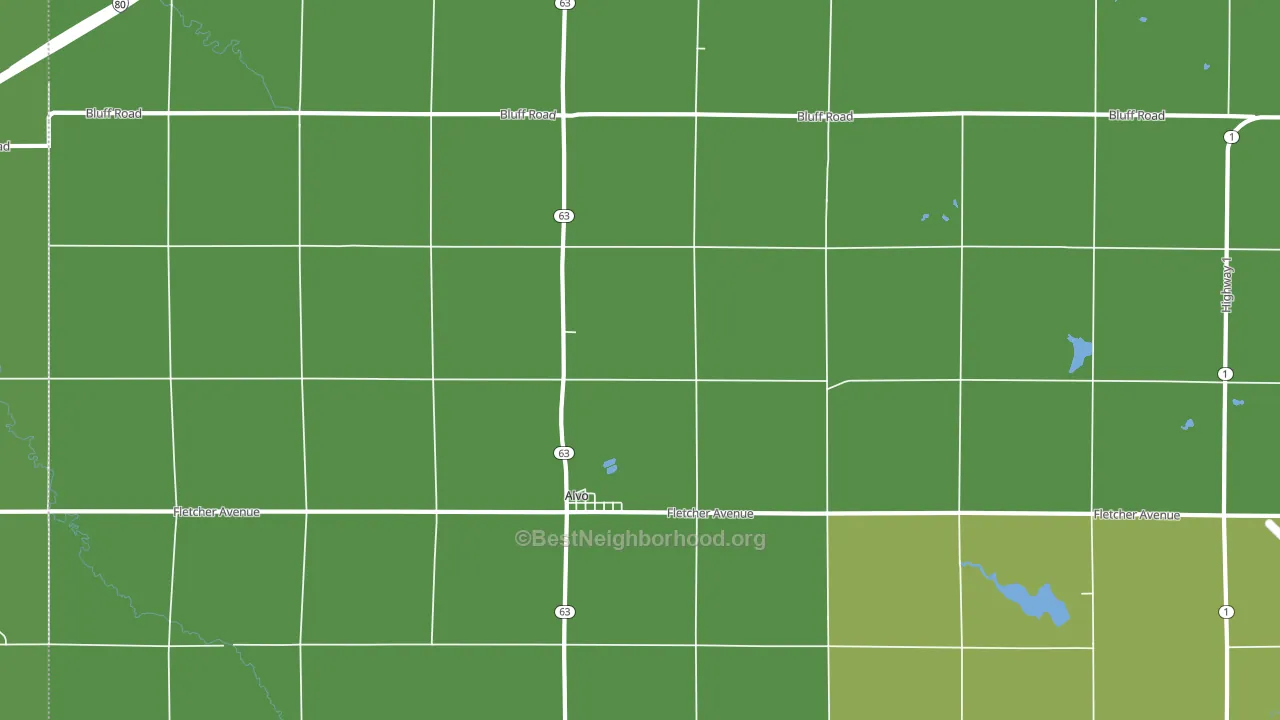 Alvo, NE block-group voter-turnout map