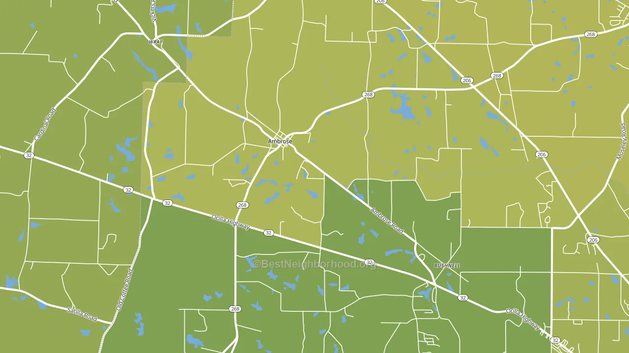 Ambrose, GA block-group voter-turnout map