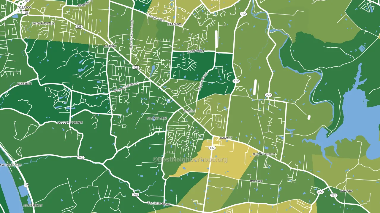 Amelia, OH block-group voter-turnout map