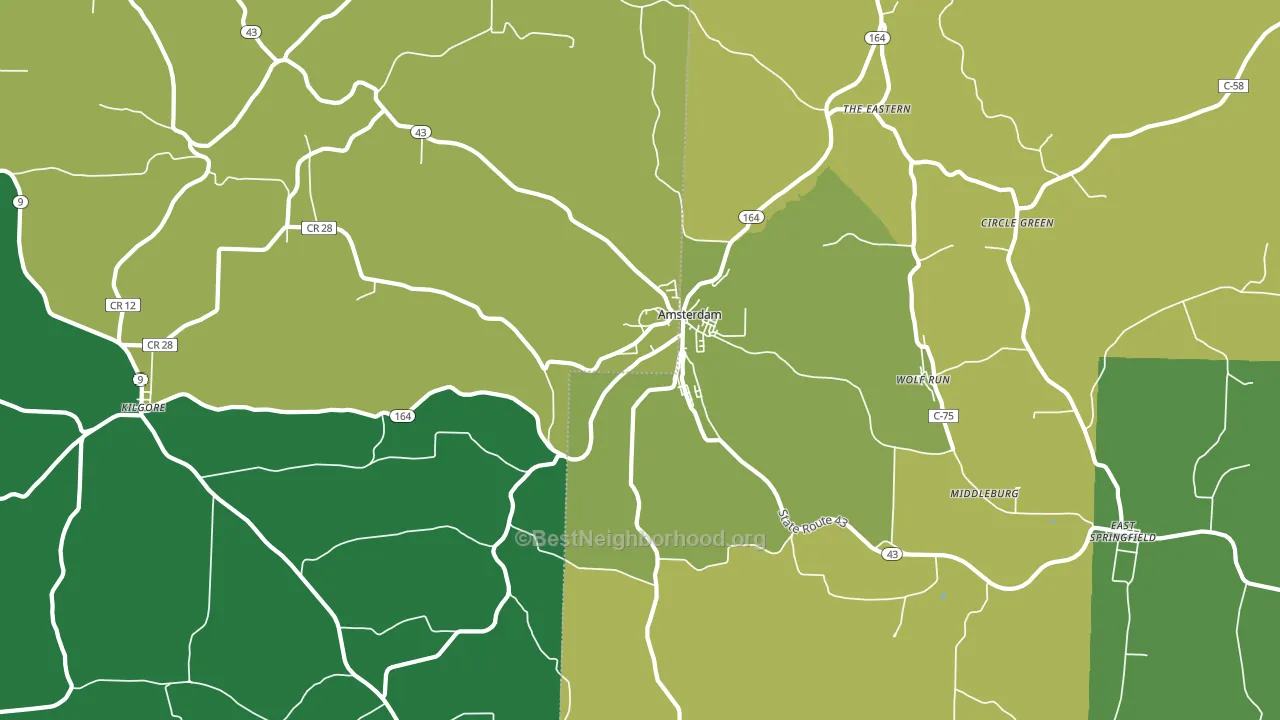 Amsterdam, OH block-group voter-turnout map
