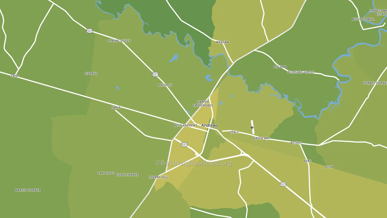 Andrews, SC block-group voter-turnout map