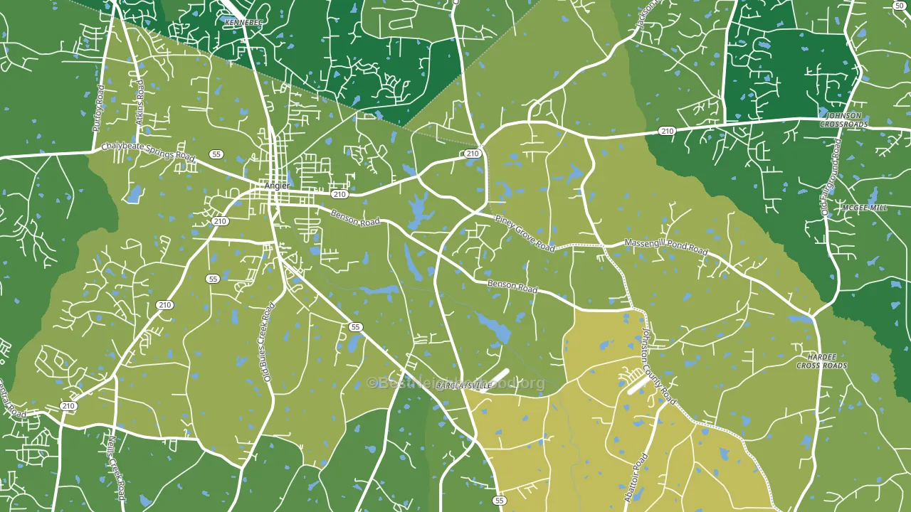 Angier, NC block-group voter-turnout map