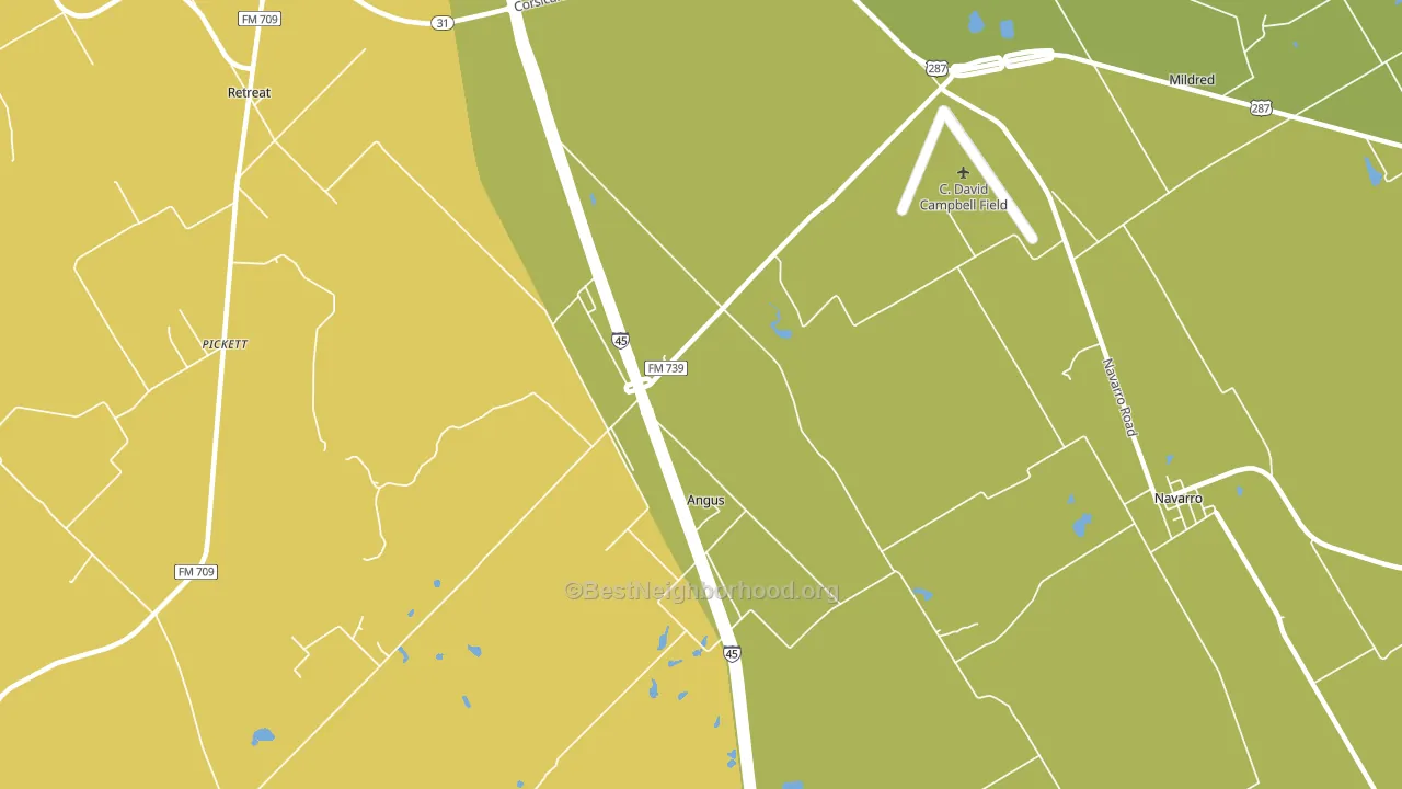 Angus, TX block-group voter-turnout map