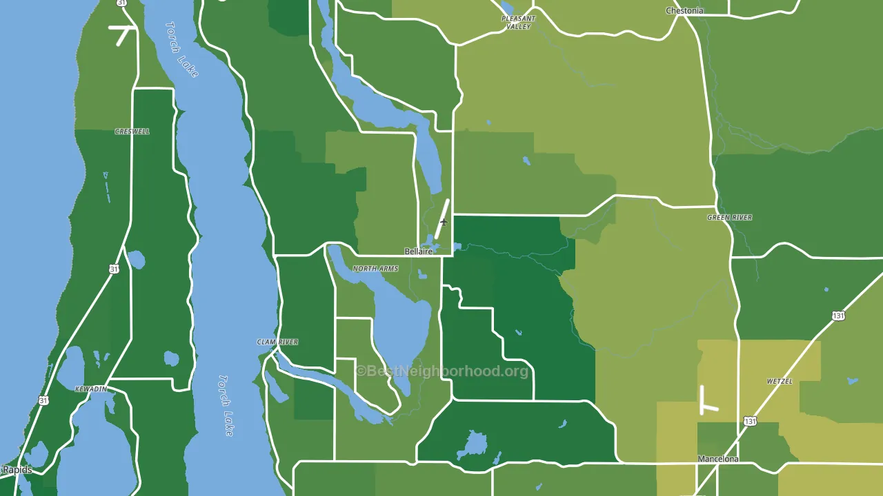 Antrim County, MI block-group voter-turnout map