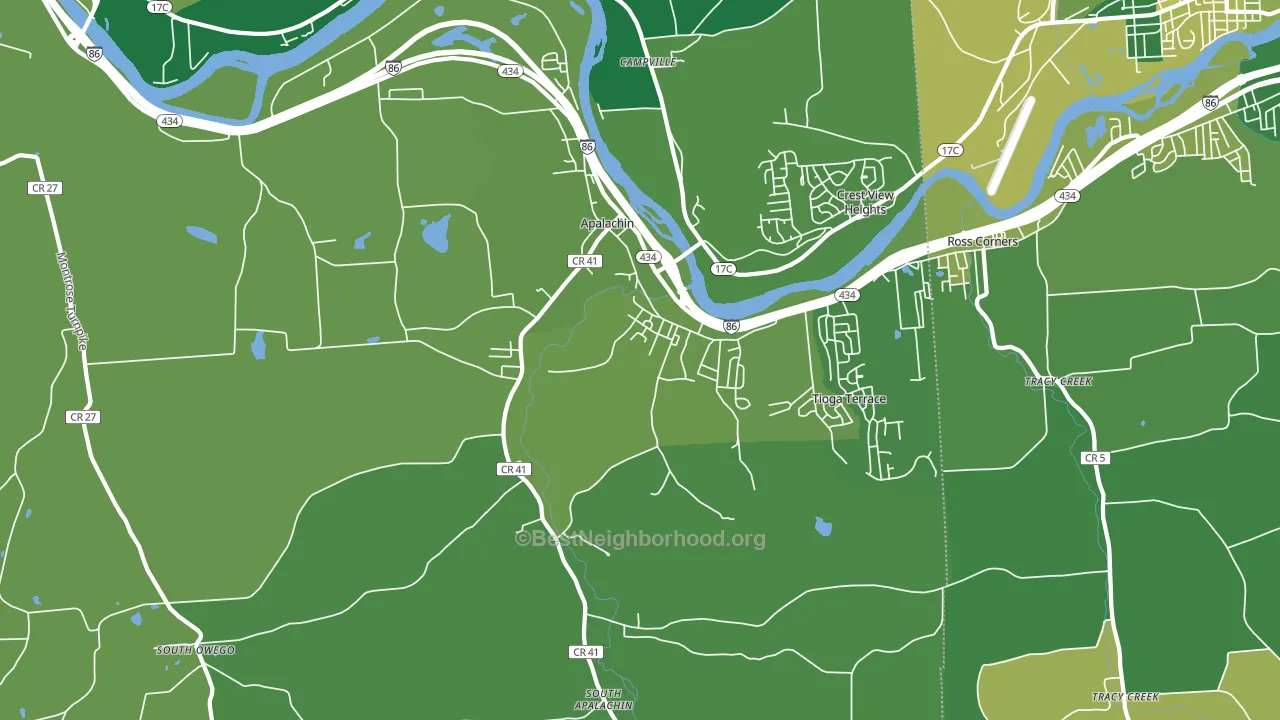 Apalachin, NY block-group voter-turnout map