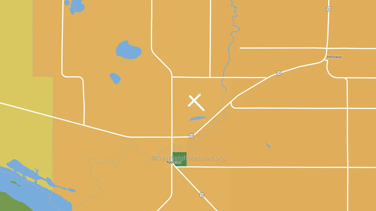 Appleton, MN block-group voter-turnout map
