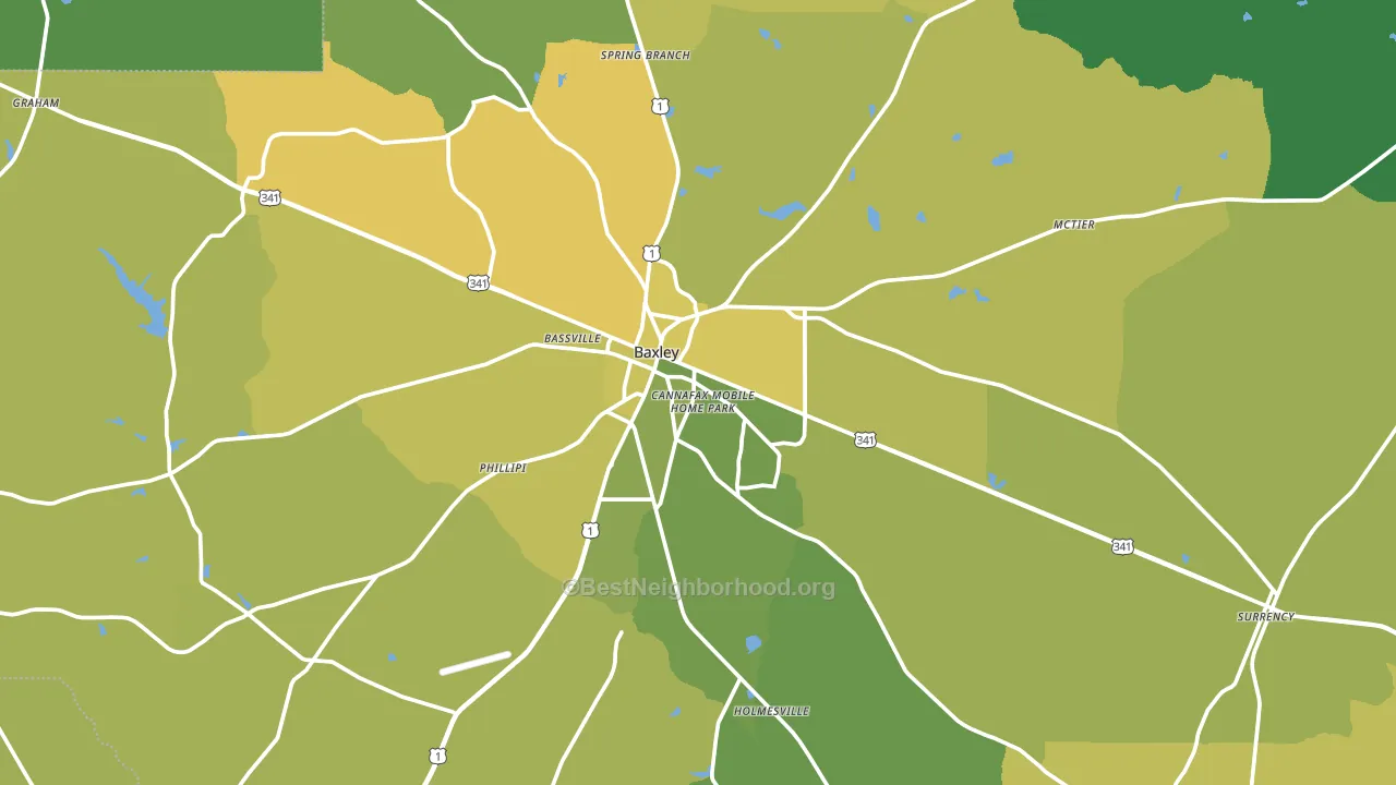 Appling County, GA block-group voter-turnout map
