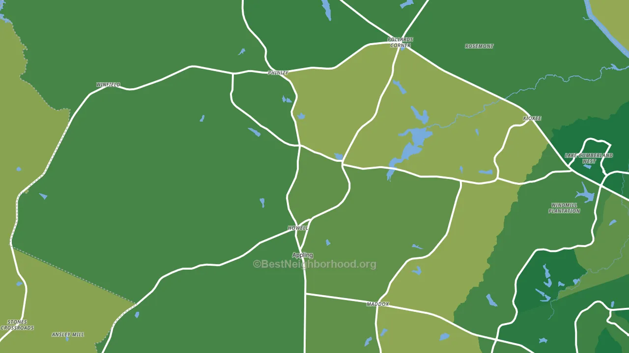 Appling, GA block-group voter-turnout map