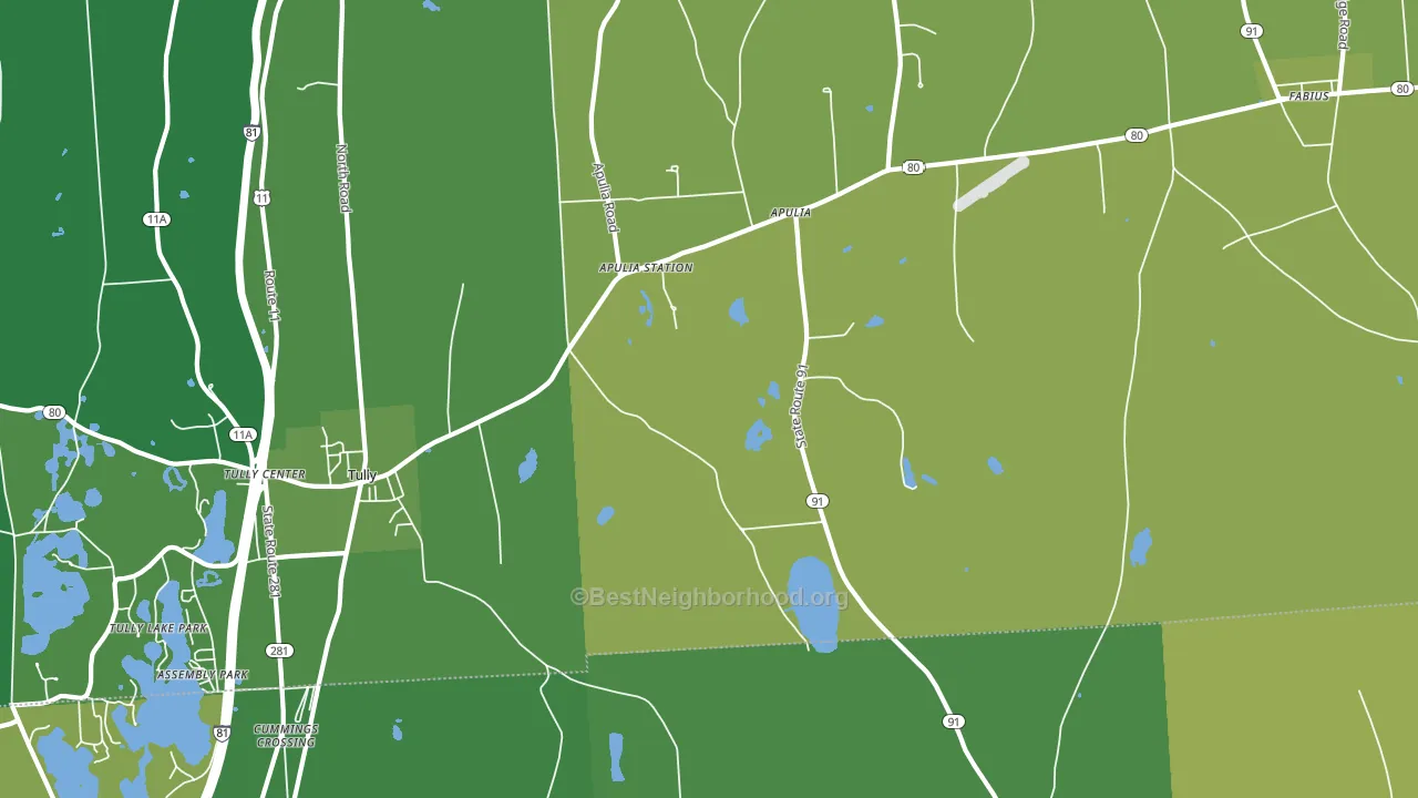 Apulia Station, NY block-group voter-turnout map