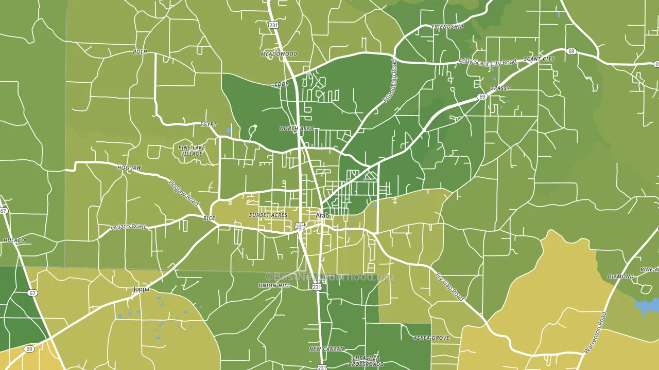 Arab, AL block-group voter-turnout map