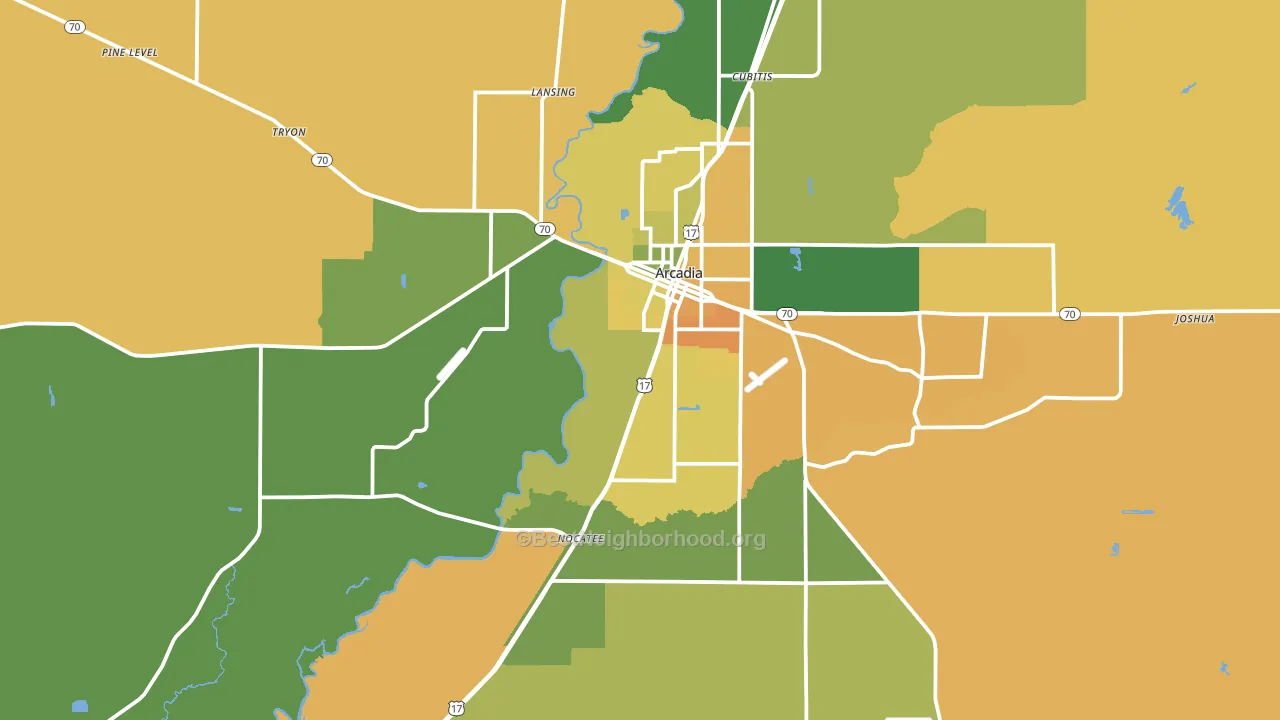 Arcadia, FL block-group voter-turnout map