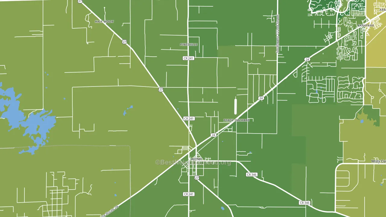 Archer, FL block-group voter-turnout map