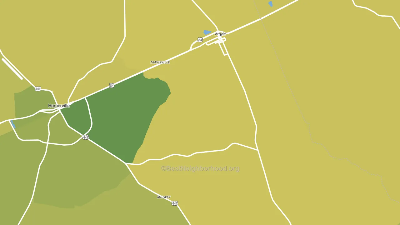 Argyle, GA block-group voter-turnout map