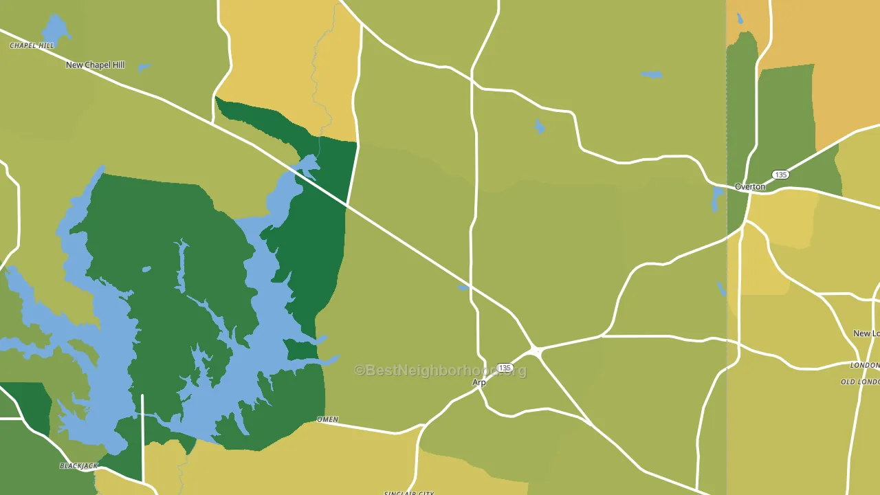 Arp, TX block-group voter-turnout map