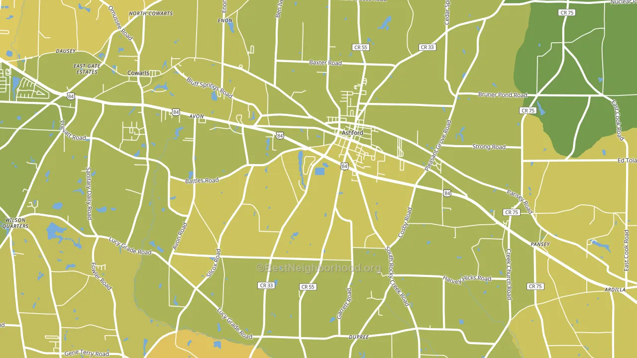 Ashford, AL block-group voter-turnout map