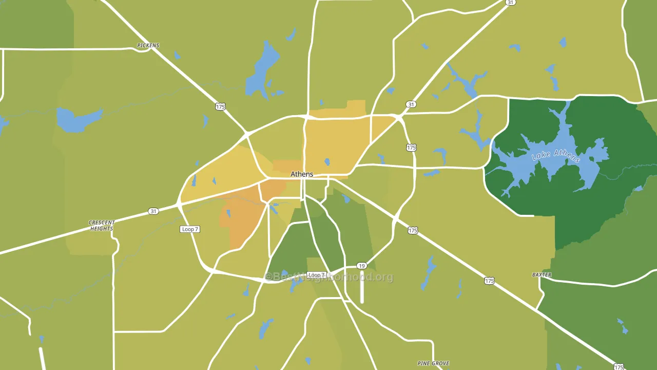 Athens, TX block-group voter-turnout map