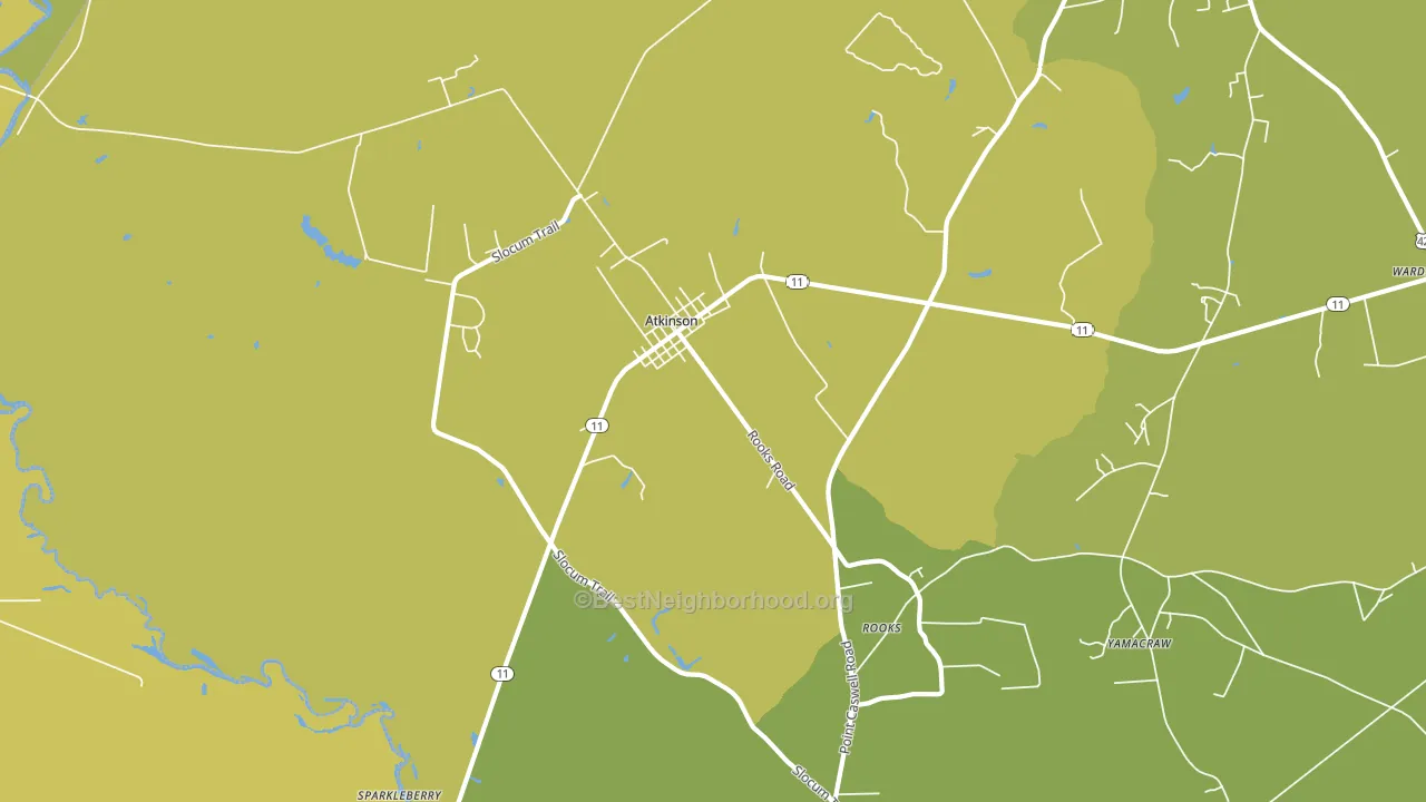 Atkinson, NC block-group voter-turnout map