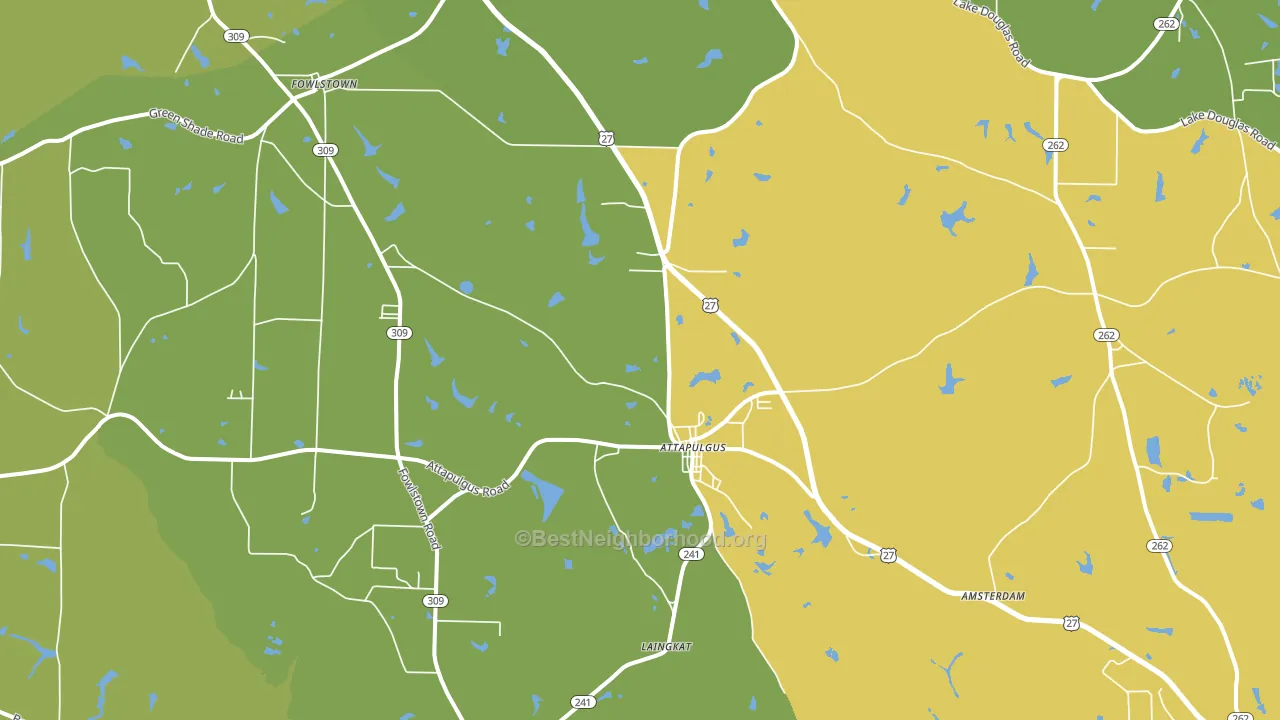 Attapulgus, GA block-group voter-turnout map