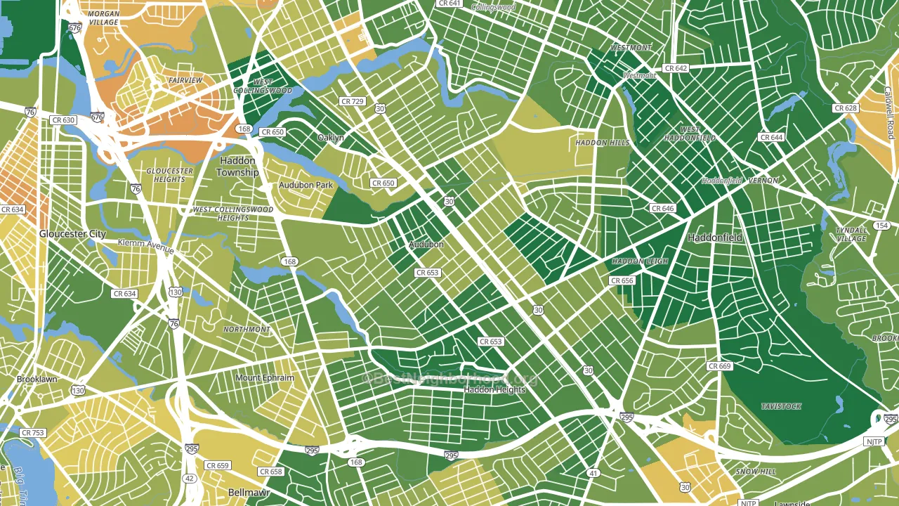 Audubon, NJ block-group voter-turnout map