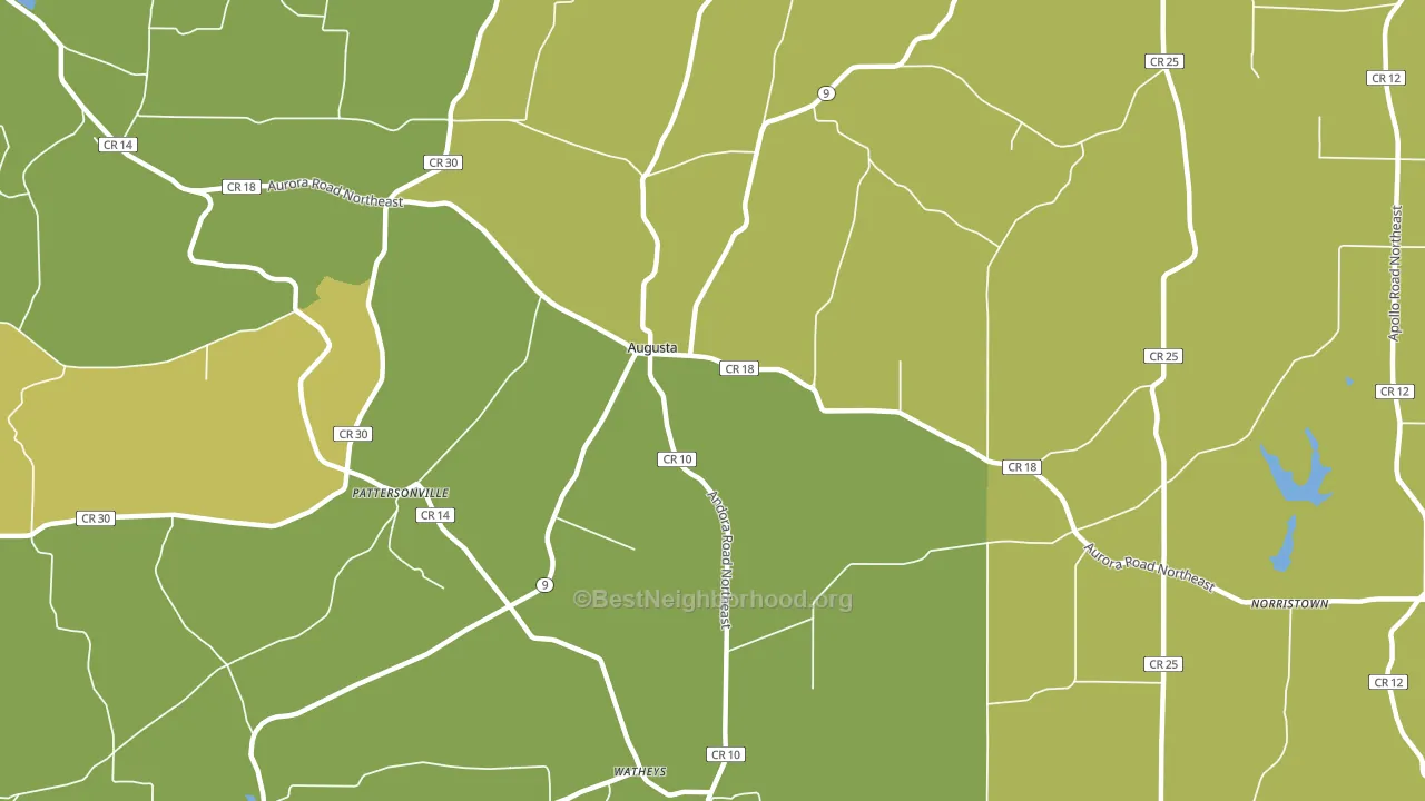 Augusta, OH block-group voter-turnout map