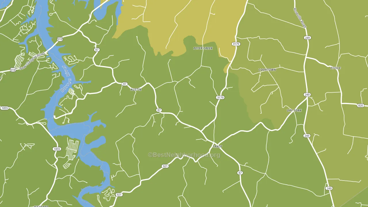 Austin, KY block-group voter-turnout map