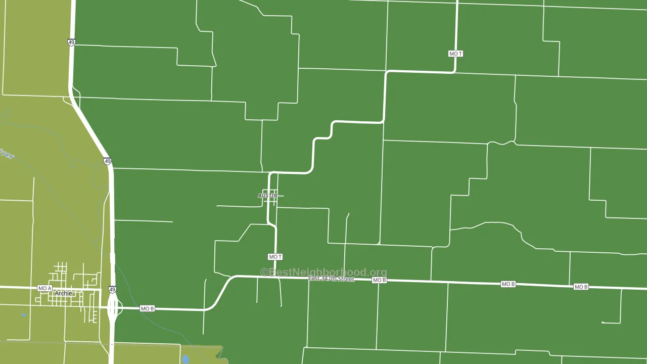 Austin, MO block-group voter-turnout map