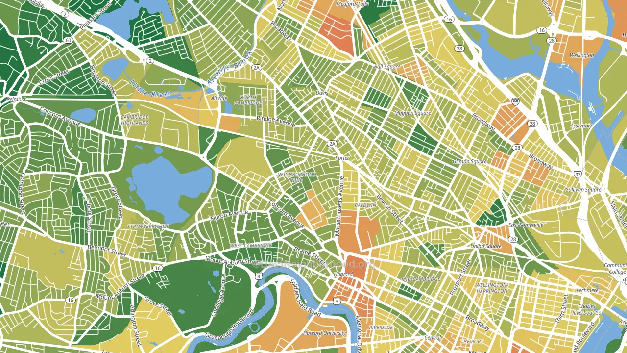 Avon Hill, Cambridge, MA block-group voter-turnout map