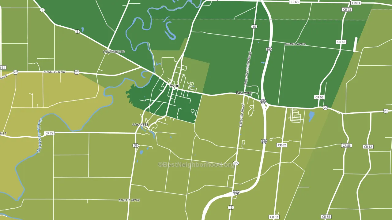 Avon, NY block-group voter-turnout map