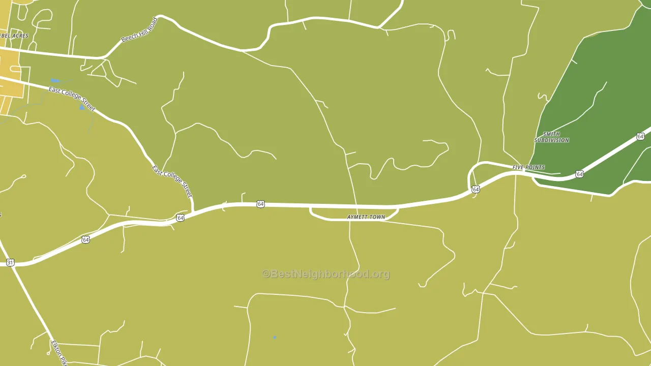 Aymett Town, TN block-group voter-turnout map