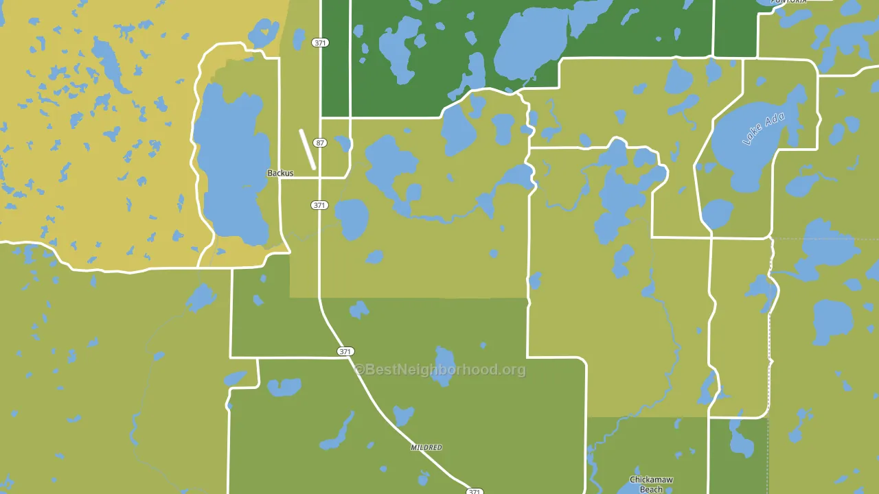 Backus, MN block-group voter-turnout map