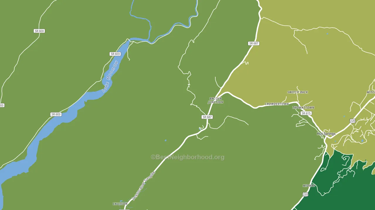 Bacova Junction, VA block-group voter-turnout map
