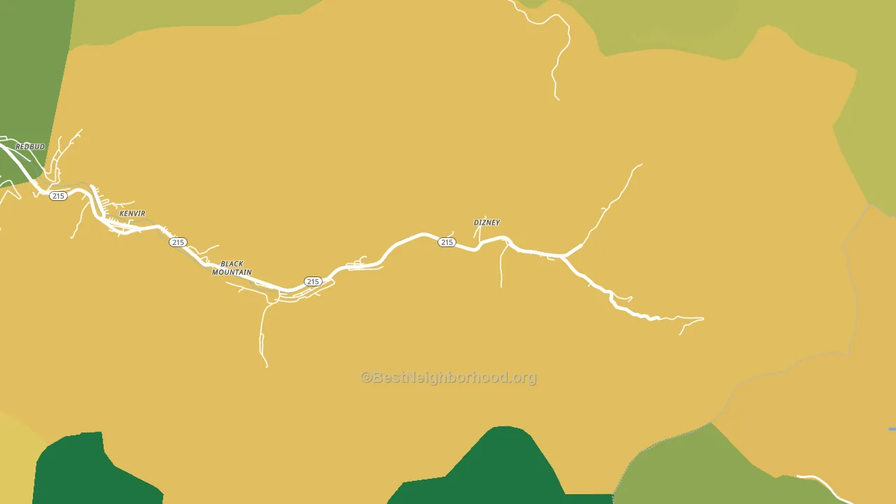 Bailey Creek, KY block-group voter-turnout map