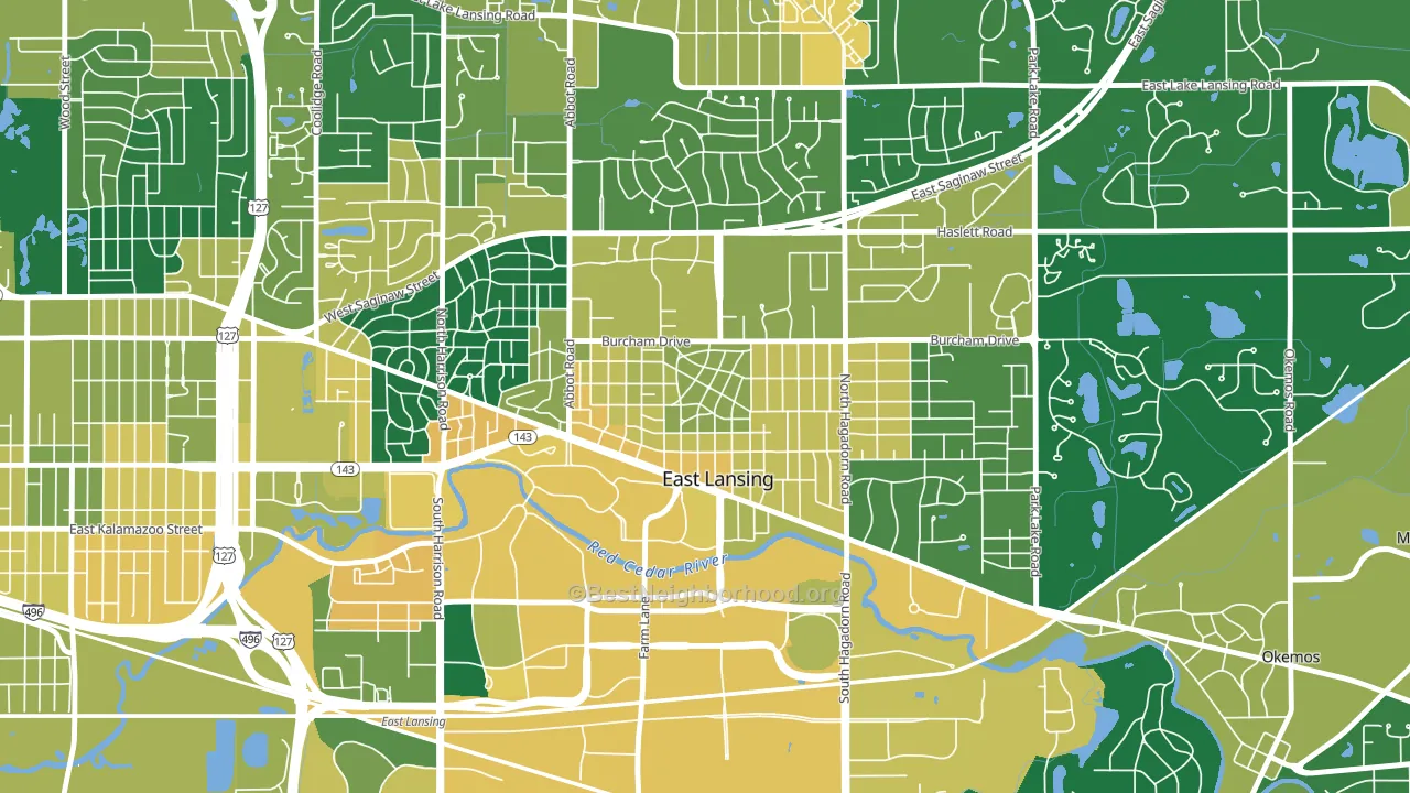 Bailey, East Lansing, MI block-group voter-turnout map