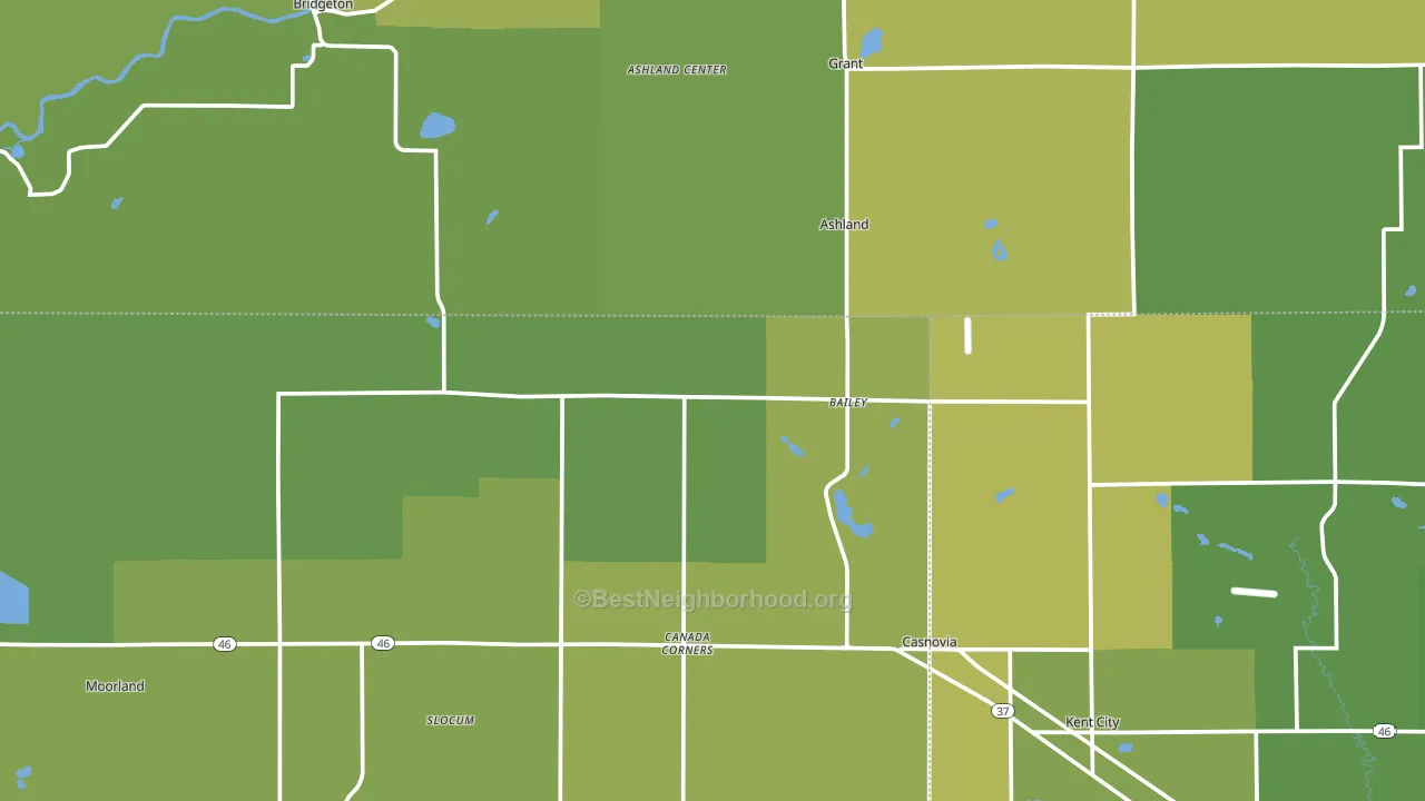Bailey, MI block-group voter-turnout map