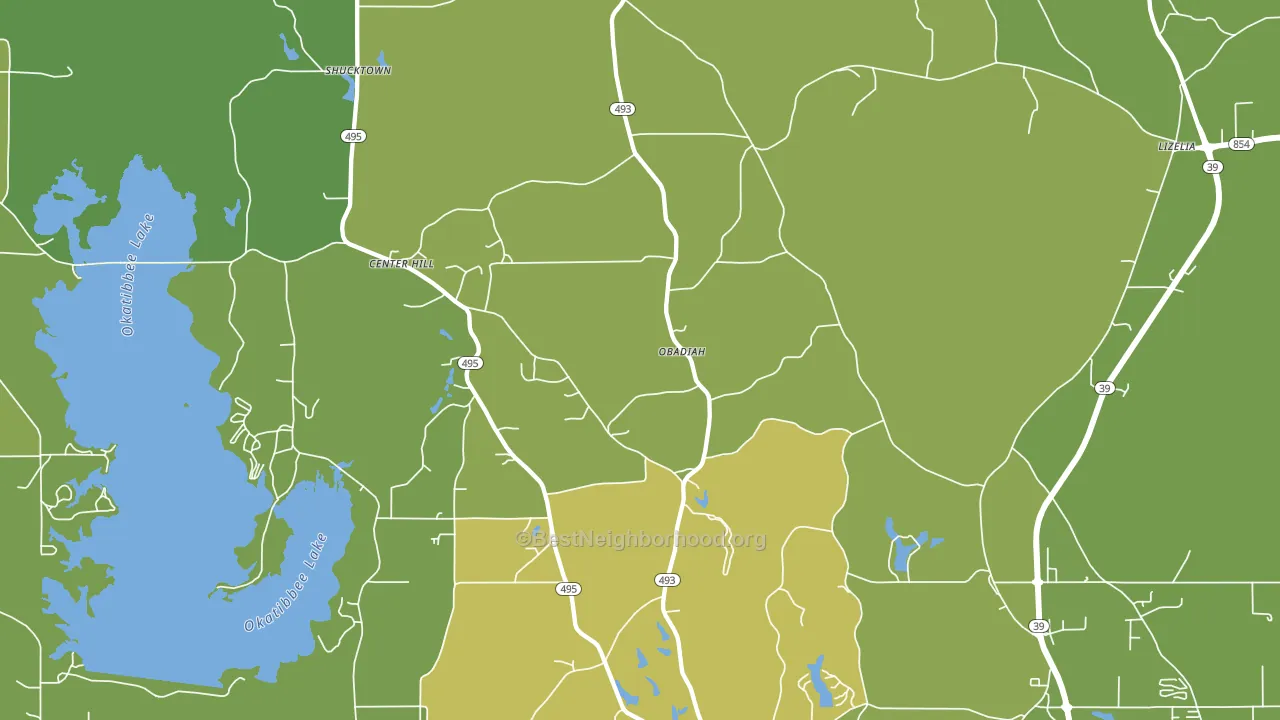 Bailey, MS block-group voter-turnout map