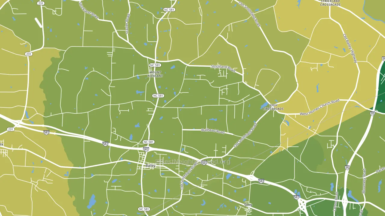 Bailey, NC block-group voter-turnout map