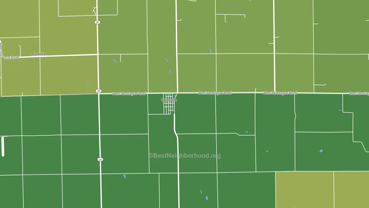 Baileyville, IL block-group voter-turnout map