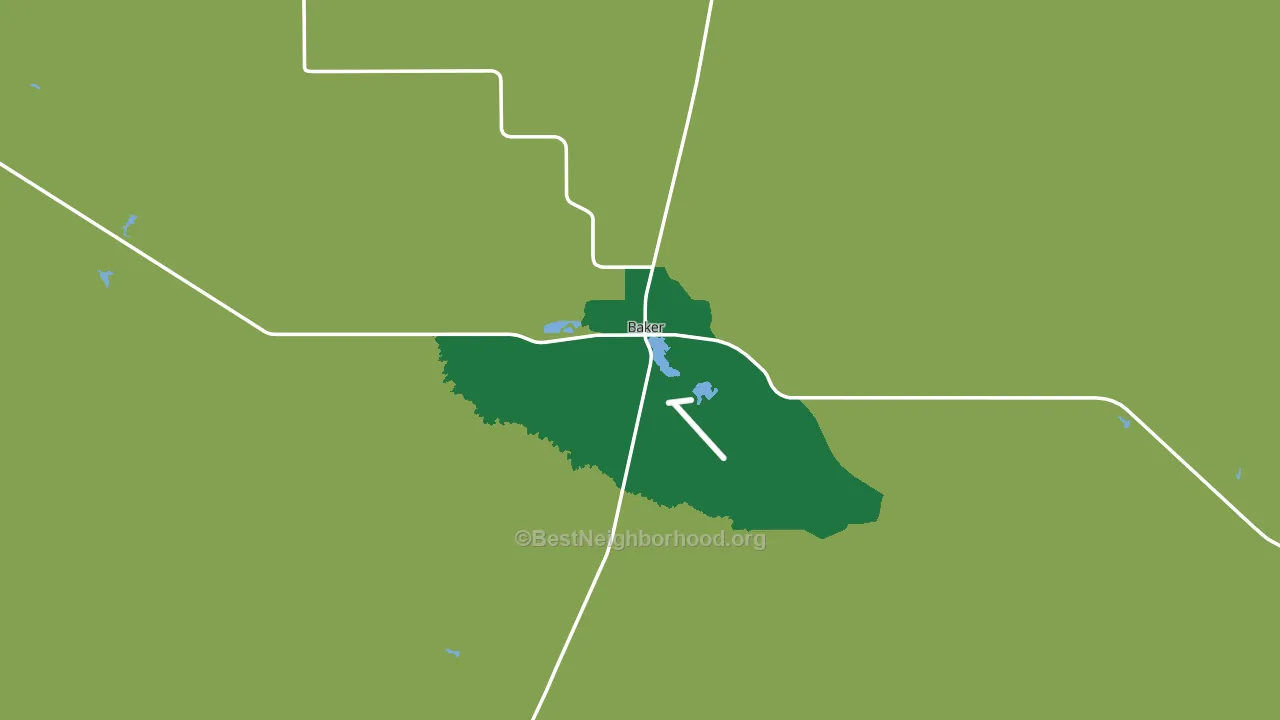 Baker, MT block-group voter-turnout map