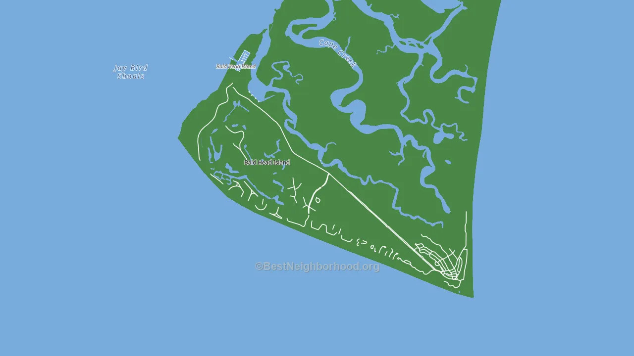 Bald Head Island, NC block-group voter-turnout map