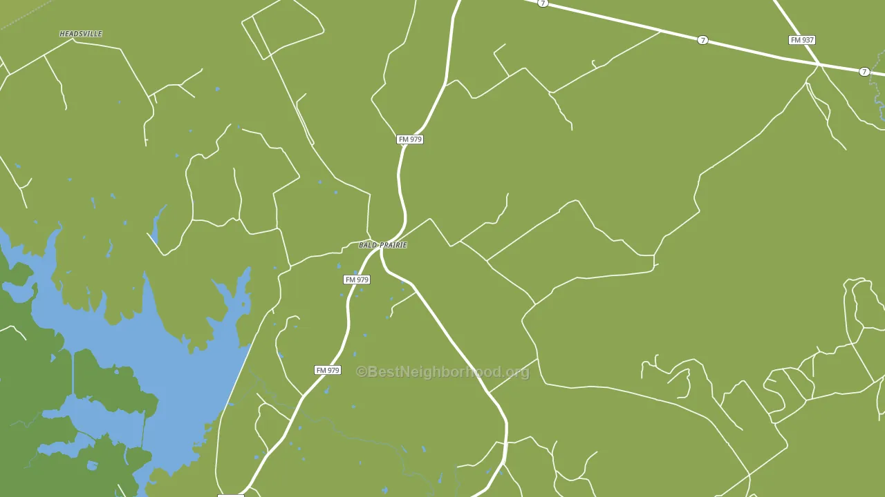 Bald Prairie, TX block-group voter-turnout map