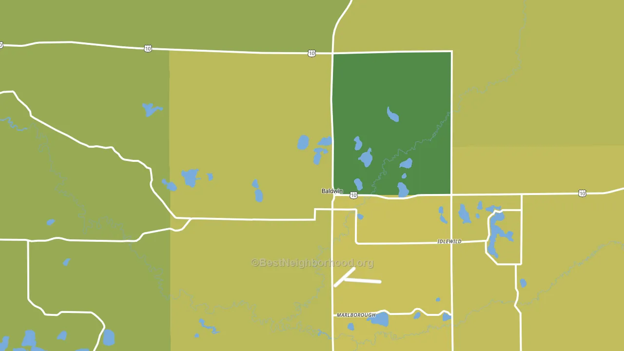 Baldwin, MI block-group voter-turnout map