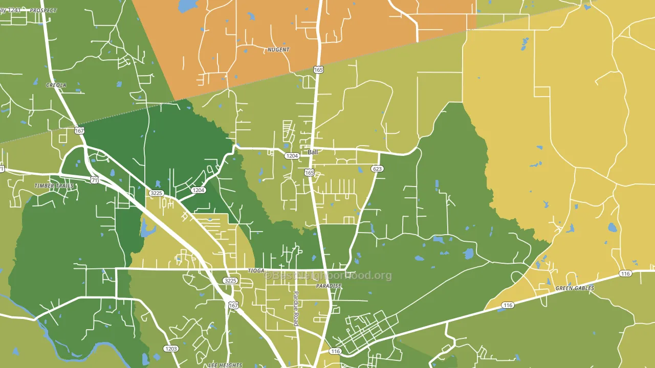 Ball, LA block-group voter-turnout map
