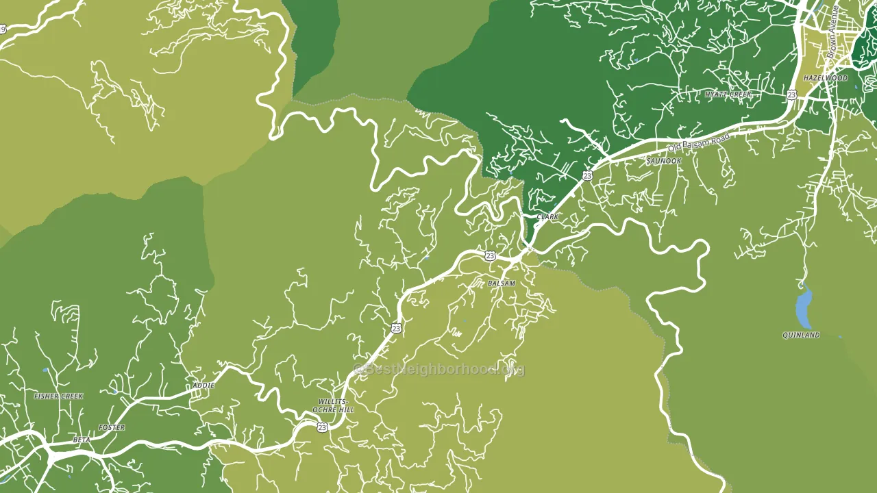 Balsam, NC block-group voter-turnout map