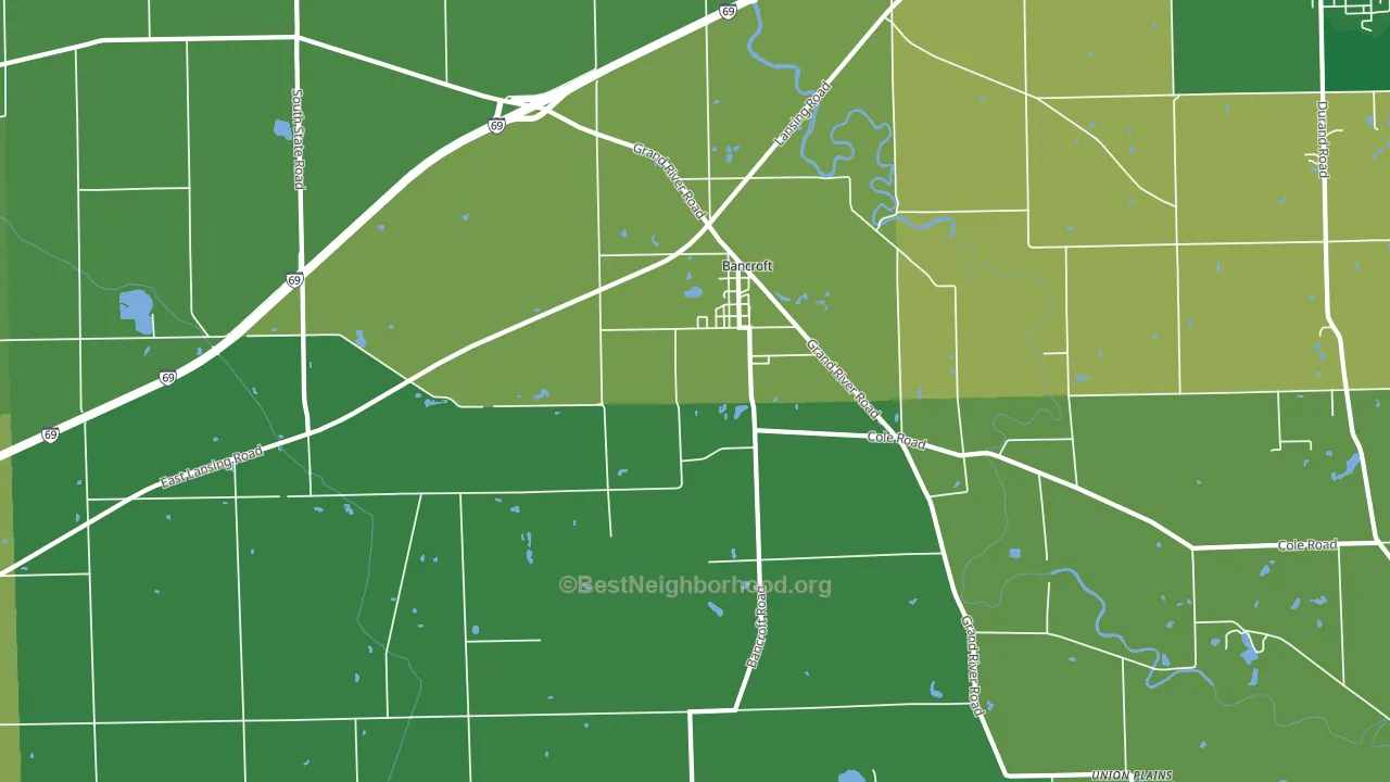 Bancroft, MI block-group voter-turnout map