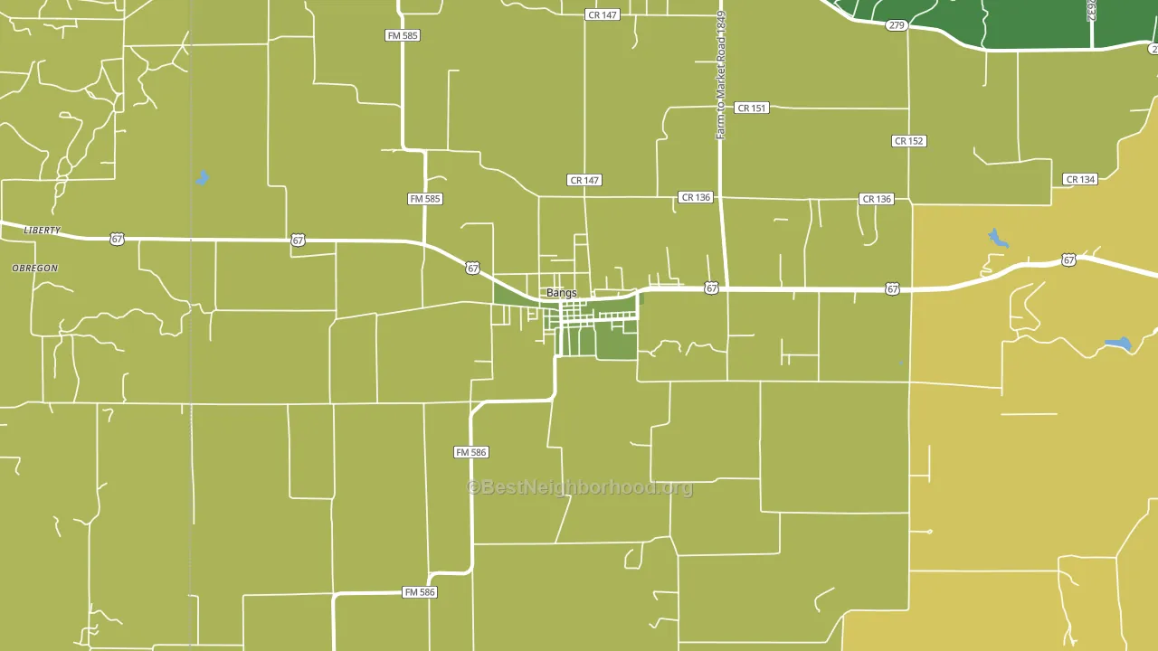Bangs, TX block-group voter-turnout map