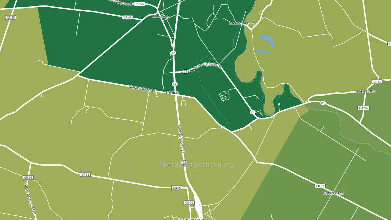 Barneveld, NY block-group voter-turnout map