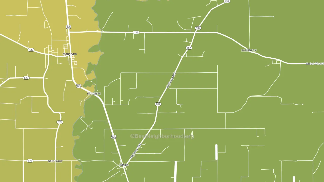 Baskin, LA block-group voter-turnout map