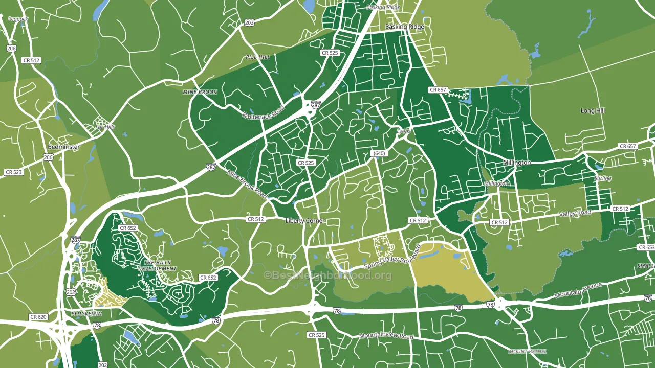 Basking Ridge, NJ block-group voter-turnout map